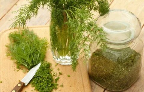 فروش ویژه و محدود شوید خشک اعلا + قیمت عالی